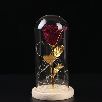 Beauté Captive