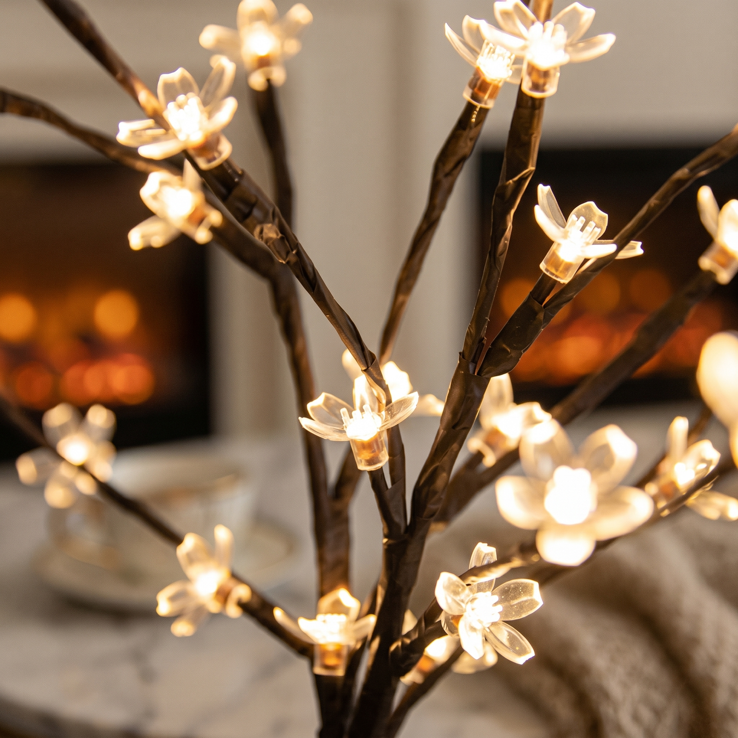 L'Arbre Lumière