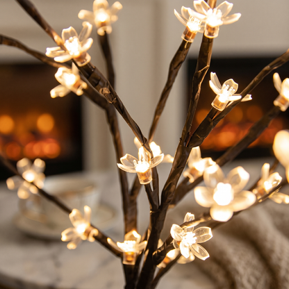 L'Arbre Lumière